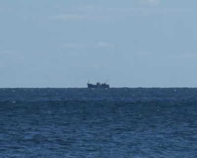 Прикрепленное изображение: DSCF7764.jpg